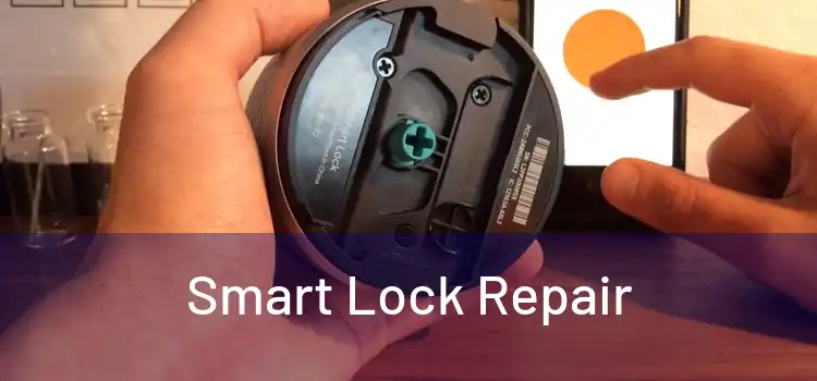 Smart Lock Repair